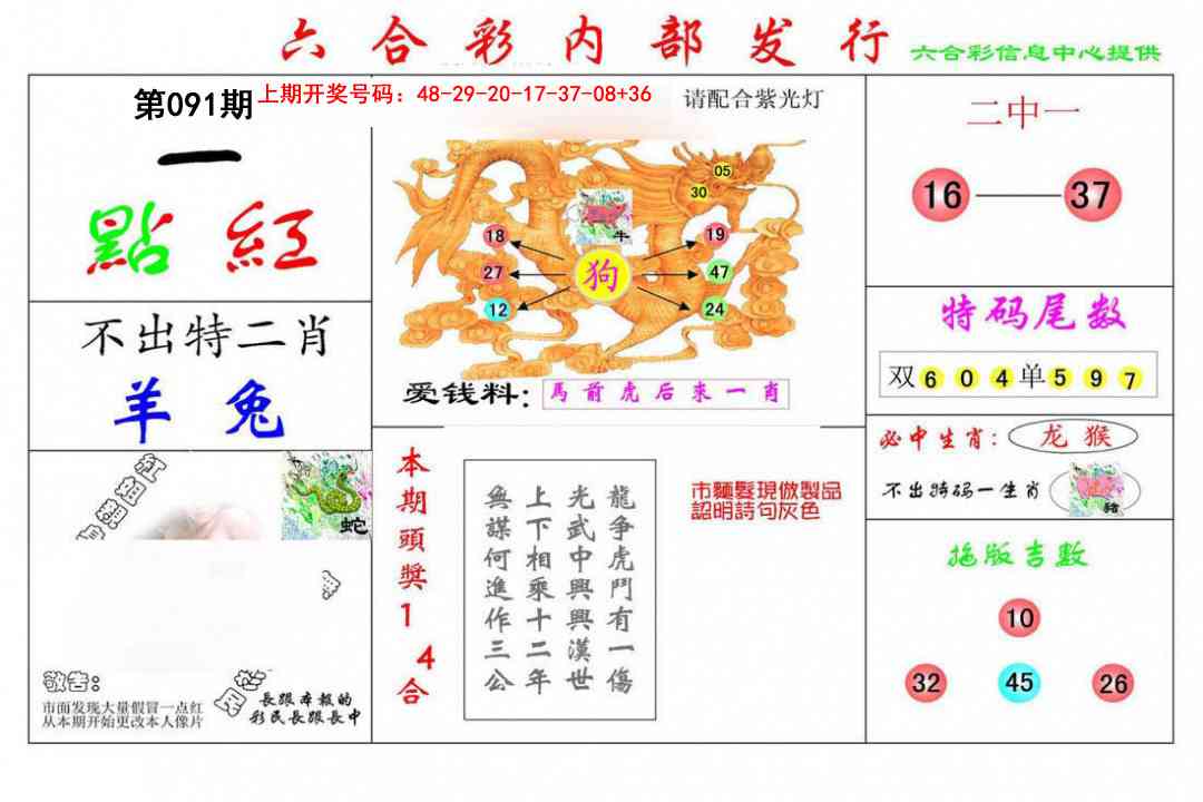 091期一点红[图]